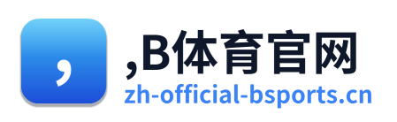 ,B体育官网 Logo